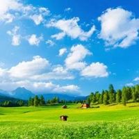 风景微信头像图片2022最新款-2022微信头像风景图片大全