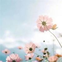 微信头像图片大全清新 风景 清新淡雅|唯美微信头像图片大全 有气质 内涵