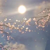 微信头像图片大全清新 风景 清新淡雅|唯美微信头像图片大全 有气质 内涵