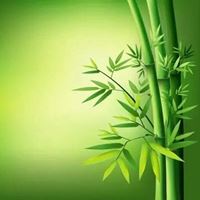 微信头像图片大全清新 风景 清新淡雅|唯美微信头像图片大全 有气质 内涵