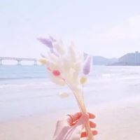 QQ头像风景图片（风景头像QQ）
