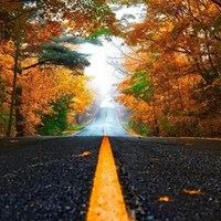 QQ头像风景图片（风景头像QQ）