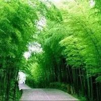 QQ头像风景图片（风景头像QQ）