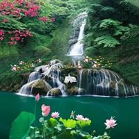 暖色头像的风景图片-暖色系图片头像