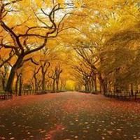 暖色头像的风景图片-暖色系图片头像