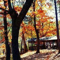 暖色头像的风景图片-暖色系图片头像