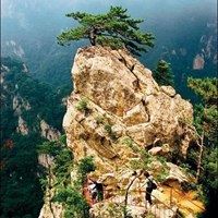 河南风景图片大全 河南美景有哪些图片介绍