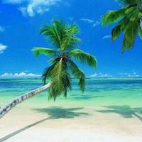 海南风景头像图片大全_海南景点图片