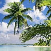 海南风景头像图片大全_海南景点图片