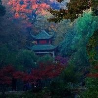 湖南图片大全（湖南景点图片大全图片）