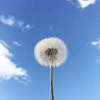 蓝色风景图片大全_蓝色风景照图片大全图片