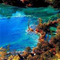 九寨沟风景图片大全 最美（九寨沟风景照片欣赏）