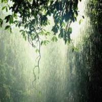 微信头像下雨风景图片|微信头像下雪风景