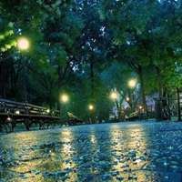 微信头像下雨风景图片|微信头像下雪风景