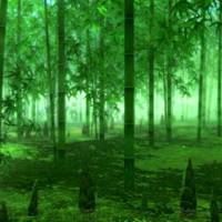 微信头像下雨风景图片|微信头像下雪风景