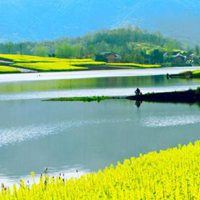 阳光花朵风景头像图片_头像花朵图片 微信 风景 山水