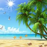 海南风景椰子树微信头像高清 海南椰子树风景图片大全