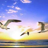 适合海阔天空的头像|海阔天空的图片大全 风景图片