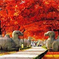 头像景点图片大全图片-旅游景点微信头像图片大全