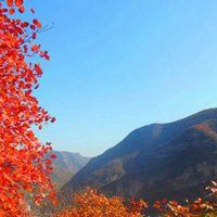 红叶头像图片大全图片-微信头像图片红叶风景山水