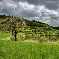 春天风景头像图片大全 花草（春天的图片 大自然风景）