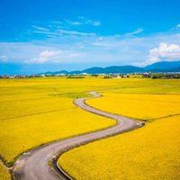 微信头像田园风景图片（田园风格的微信头像）
