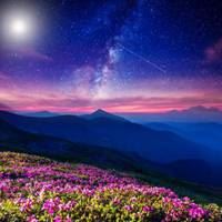 大自然风景图片大全 头像 花草 美景-大自然的风景头像图片