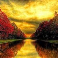 红红火火的头像图片 火红头像图片大全