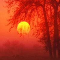 红红火火的头像图片 火红头像图片大全