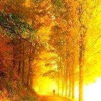 红红火火的头像图片 火红头像图片大全