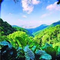 风水上最好的微信头像 招财 风景-风水好的微信头像