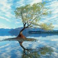 风水上最好的微信头像 招财 风景-风水好的微信头像