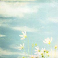 好看的微信风景图片头像唯美（好看的头像图片风景 微信）