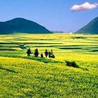 微信头像图片 风景 最新版 好运|微信头像风水好的图片 带来好运 风景