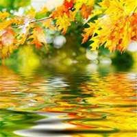 微信头像图片 风景 最新版 好运|微信头像风水好的图片 带来好运 风景