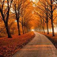 微信头像图片 风景 最新版 好运|微信头像风水好的图片 带来好运 风景