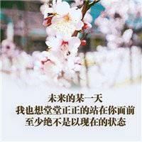 微信头像带字唯美风景图片伤感-风景带字的微信头像