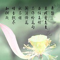 微信头像带字唯美风景图片伤感-风景带字的微信头像