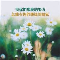 微信头像带字唯美风景图片伤感-风景带字的微信头像