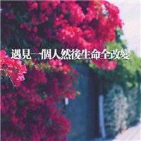 微信头像带字唯美风景图片伤感-风景带字的微信头像