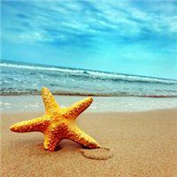 沙滩的头像-海边沙滩微信头像图片