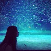 女生在海边的头像|海边女生微信头像图片大全图片