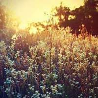 户外头像图片 高清风景头像图片