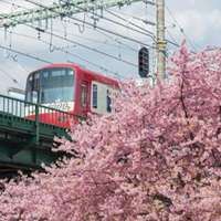 户外头像图片 高清风景头像图片