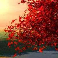 户外头像图片 高清风景头像图片