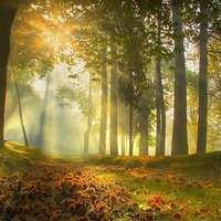 户外头像图片 高清风景头像图片