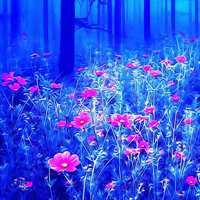 户外头像图片 高清风景头像图片