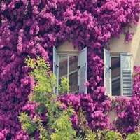 房子的头像图片-房子图片卡通图片个性图片