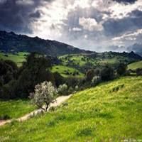 优美风景微信头像图片大全-风景微信头像图片大全 唯美 大自然