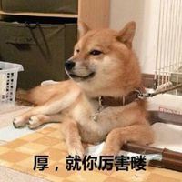 鬼畜头像搞笑图片|超丑头像 搞笑 鬼畜